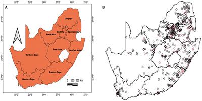 Spatial disparities of HIV prevalence in South Africa. Do sociodemographic, behavioral, and biological factors explain this spatial variability?